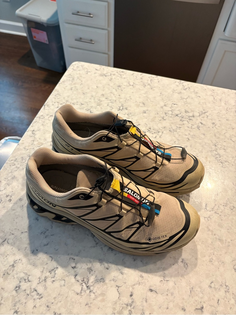 Salomon Beige and Black Men's Trail Running Shoes with Colored Accents